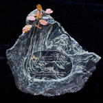 Billův kámen | foto: <br> Jiří Wasserbauer