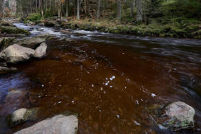 Z Billova údolí | foto: Jiří Wasserbauer