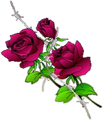 Růže | grafika: <br>archiv redakce ČINu